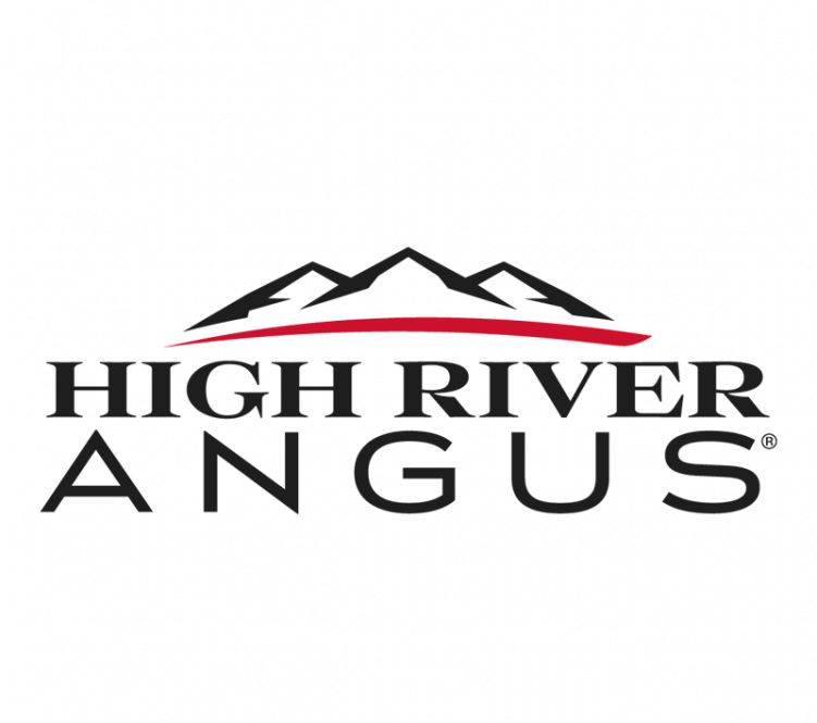 High River Angus
